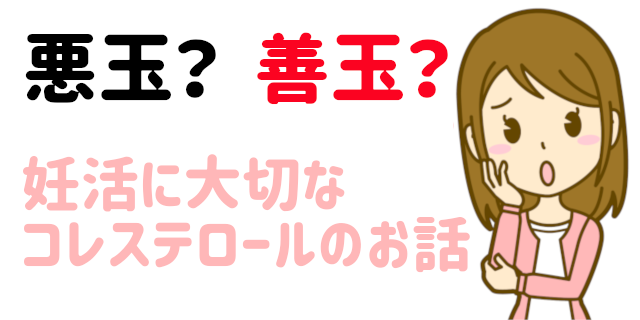 コレステロールのお話